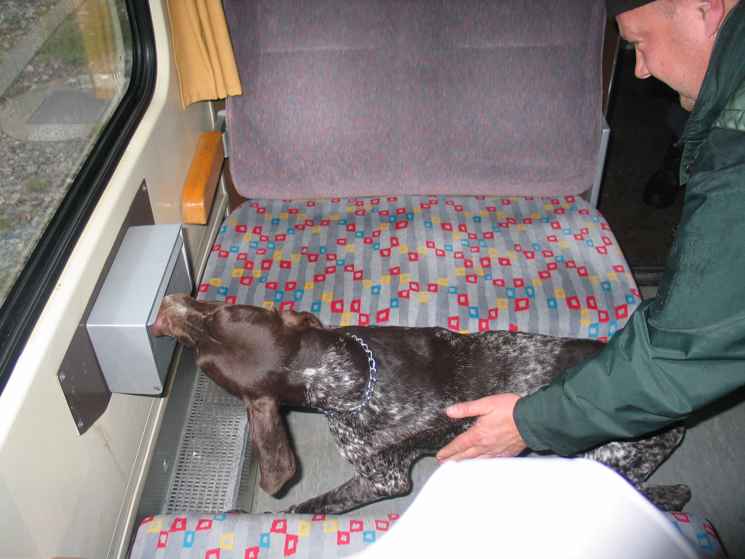 Officer with dog practice drill on train
